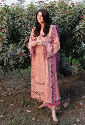 Bin Ilyas Gulabi Baagh Summer Lawn Embroidered Collection 152 A