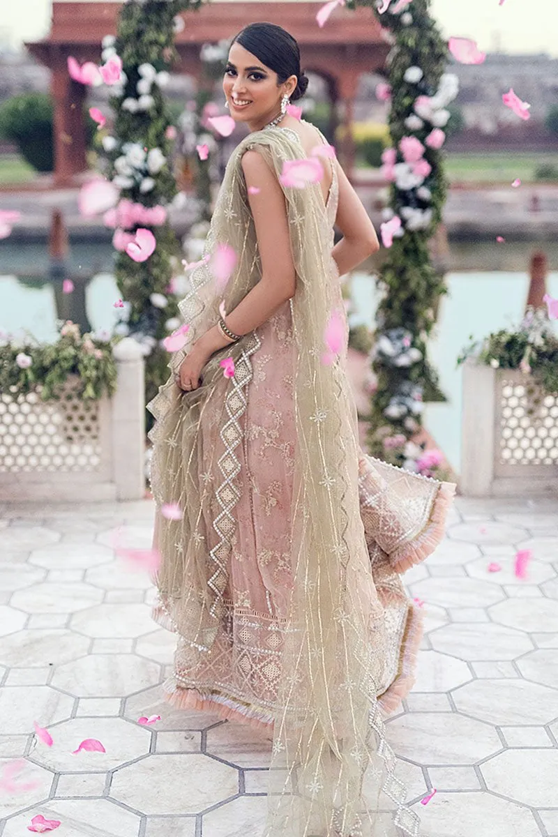 DAHALIA | Mushq Hawa Mahal Tissue De Luxe ‘21 | Unstitched Embroidered Chiffon Suits