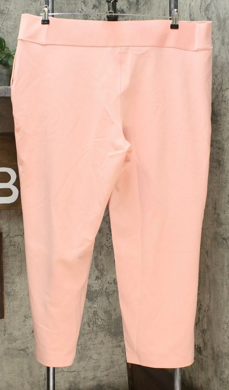 DG2 by Diane Gilman Women's Petite Wrinkle Resistant Stretch Crepe Pull On Trousers