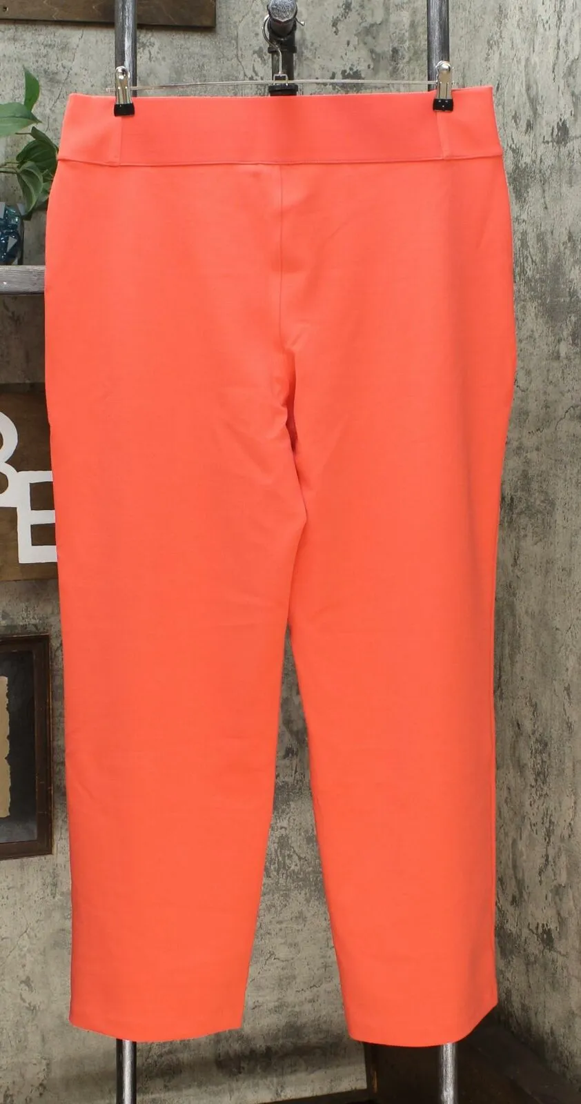 DG2 by Diane Gilman Women's Wrinkle Resistant Stretch Crepe Pull On Trouser
