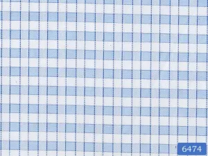 Electric Blue and White Check Shirt