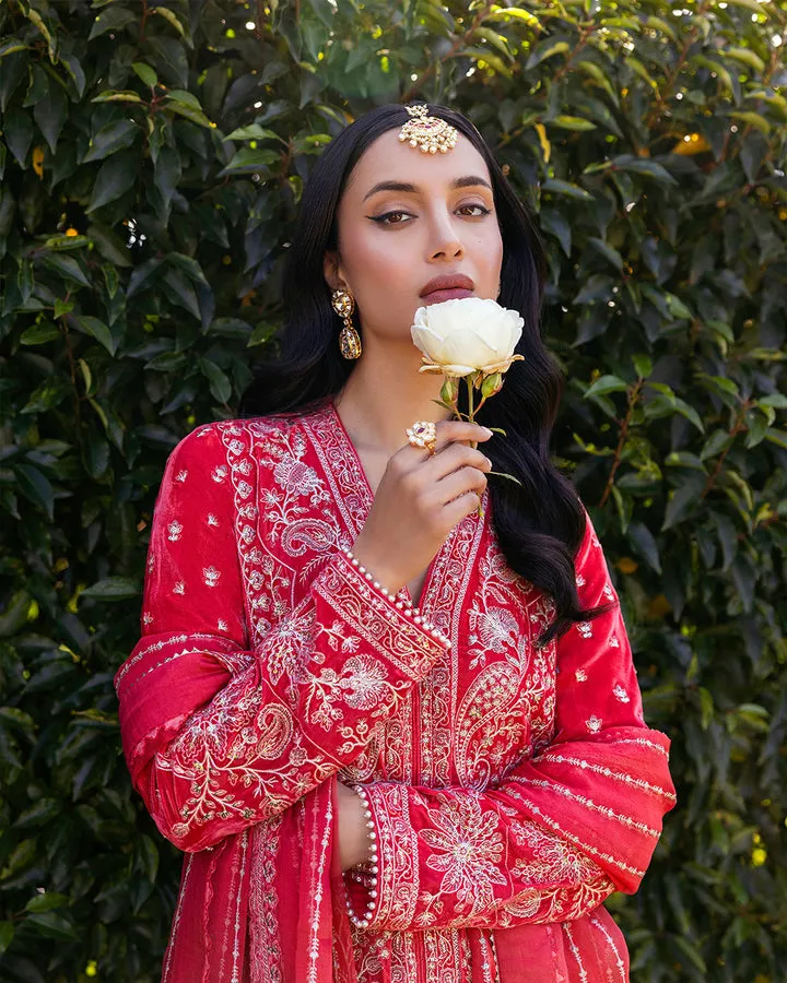 Faiza Saqlain | Adeen '24 | Alannah
