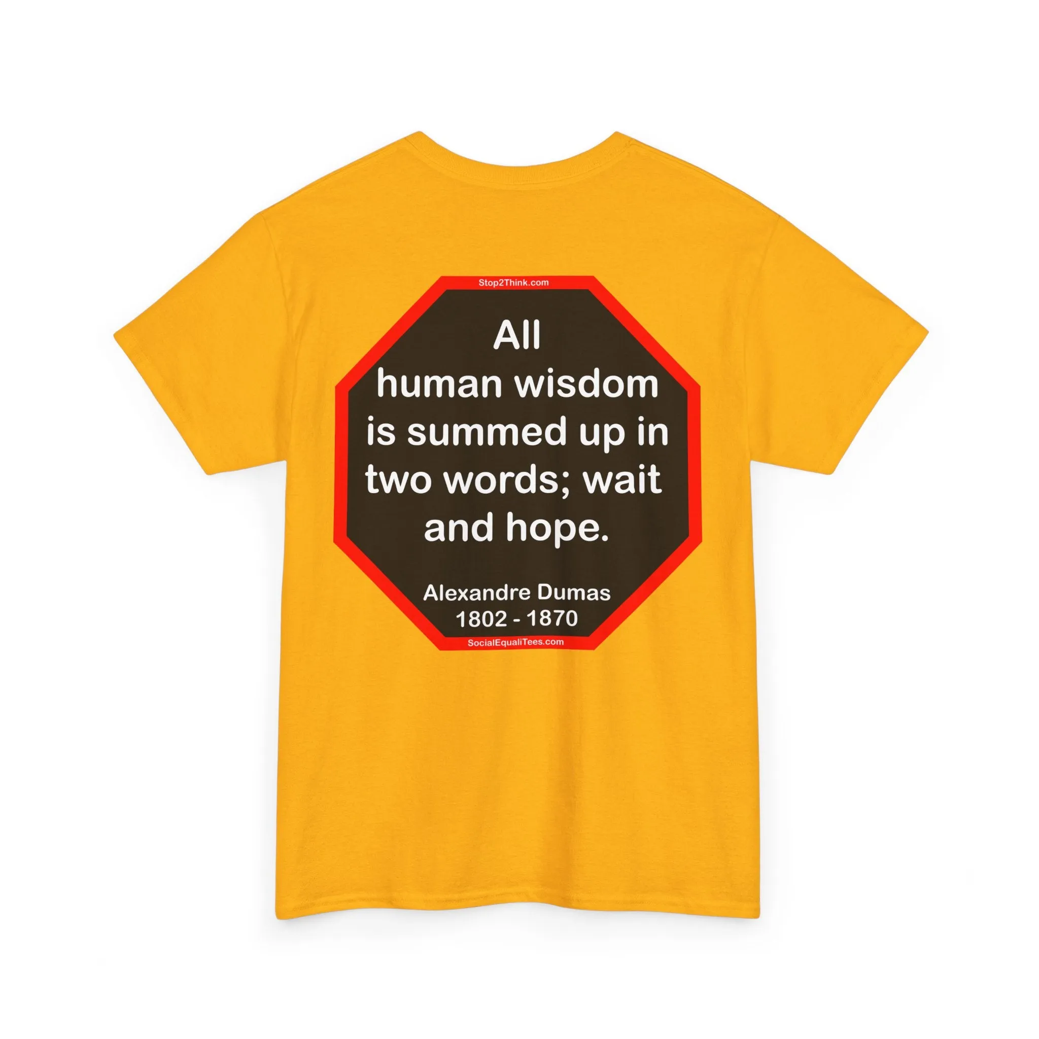 S2TBQM- All human wisdom is summed up in two words; wait and hope.  -  Alexandre Dumas   1802 - 1870