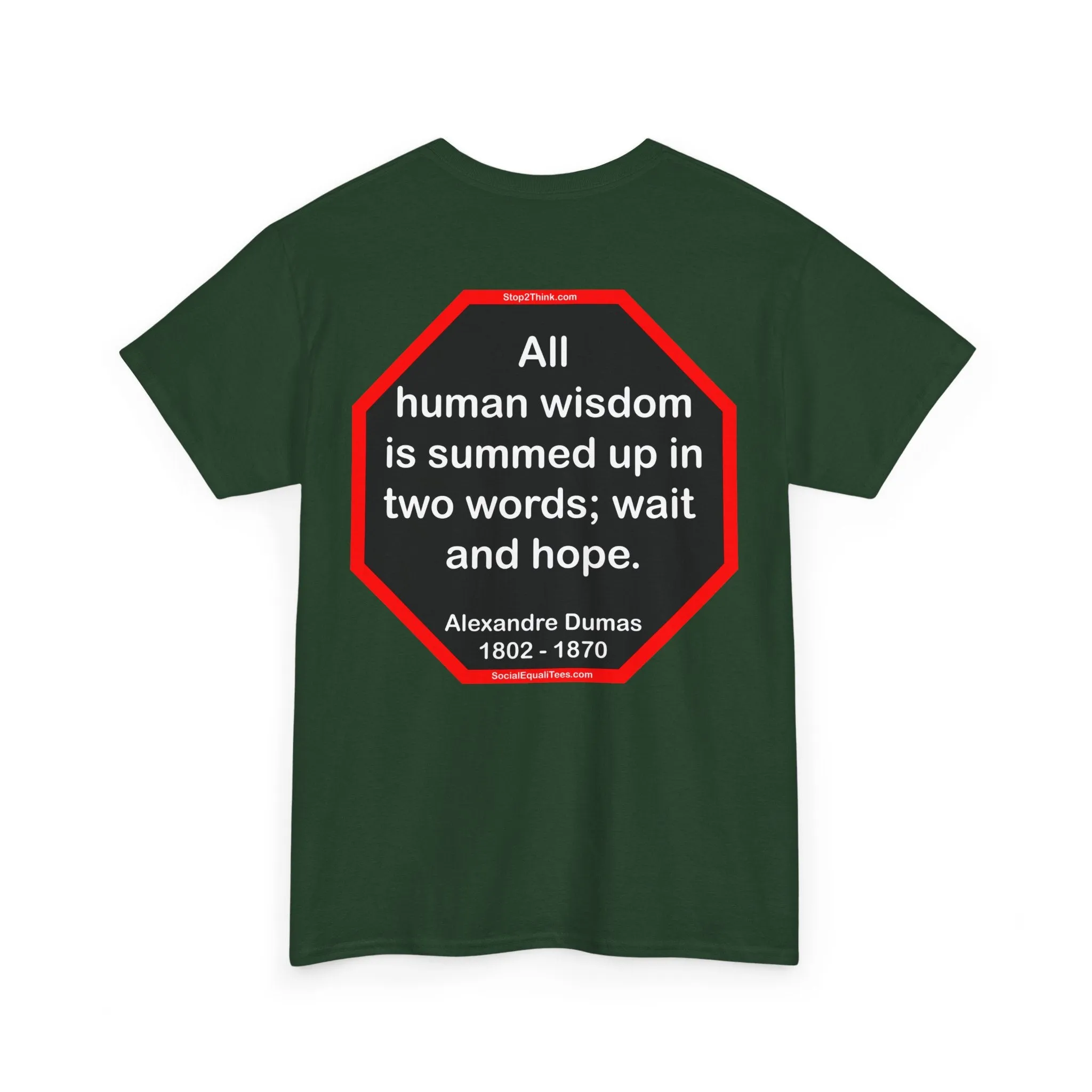 S2TBQM- All human wisdom is summed up in two words; wait and hope.  -  Alexandre Dumas   1802 - 1870